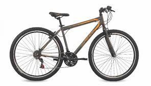BICI FREE AC 29 21V MASC FLEXUS 1.0 V-BRAKE GR