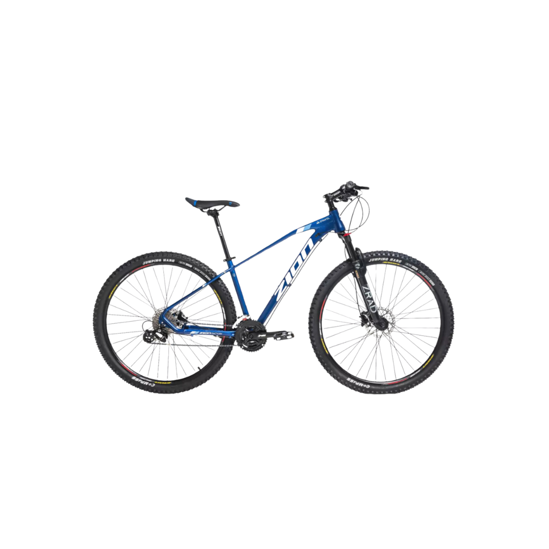 BICICLETA 29 ROJEN PAPILLON 24 VEL