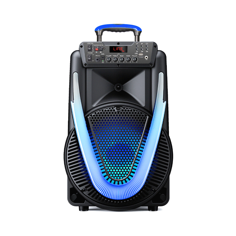 PARLANTE 800W SUNNY II 15"