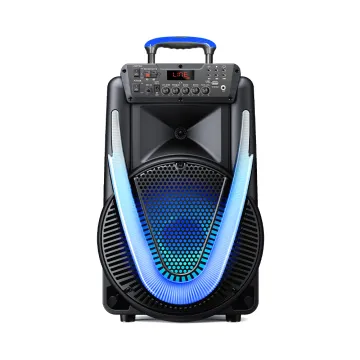 PARLANTE 800W SUNNY II 15"