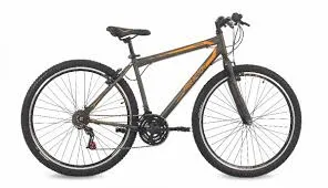 BICI FREE AC 29 21V MASC FLEXUS 1.0 V-BRAKE GR